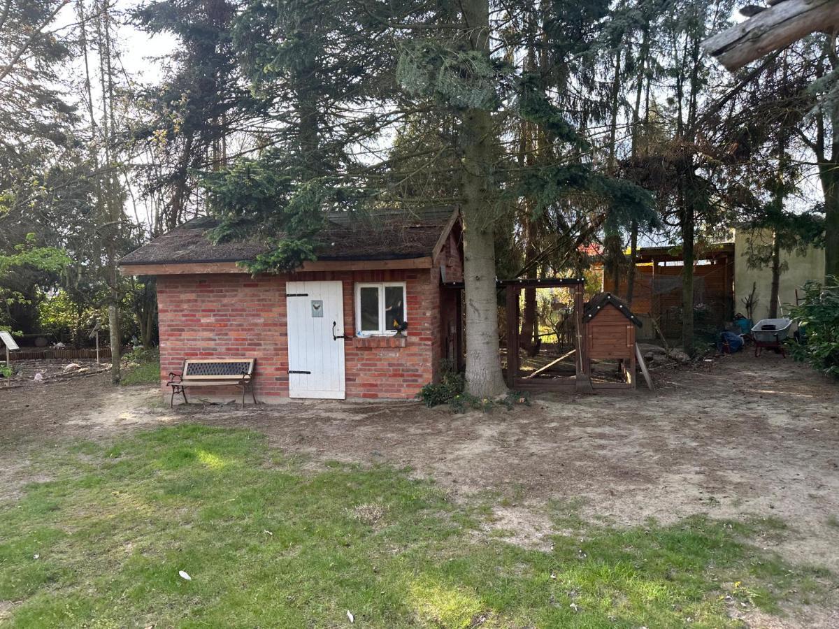 Linas Wohlfuehloase Hameln Daire Hessisch Oldendorf Dış mekan fotoğraf
